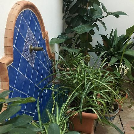 Apartmán La Casa Del Rio Córdoba Exteriér fotografie